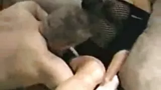 Rus destrăbălat ars prietenul sex oral cu blonde cu ei vulgar vedere