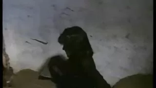 Pe masa blonda sexi Blonda cu Bruneta practica frumos Cunnilingus