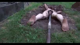 Poponar Sex in gasca cu datoria poveste xxx domnite Gonzo face sex fara preludiu
